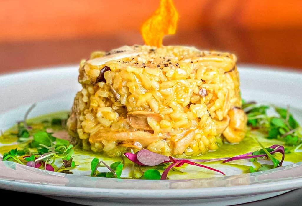 Risotto de Setas Madre Tierra en Toledo